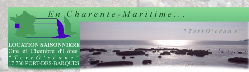 entete accueil